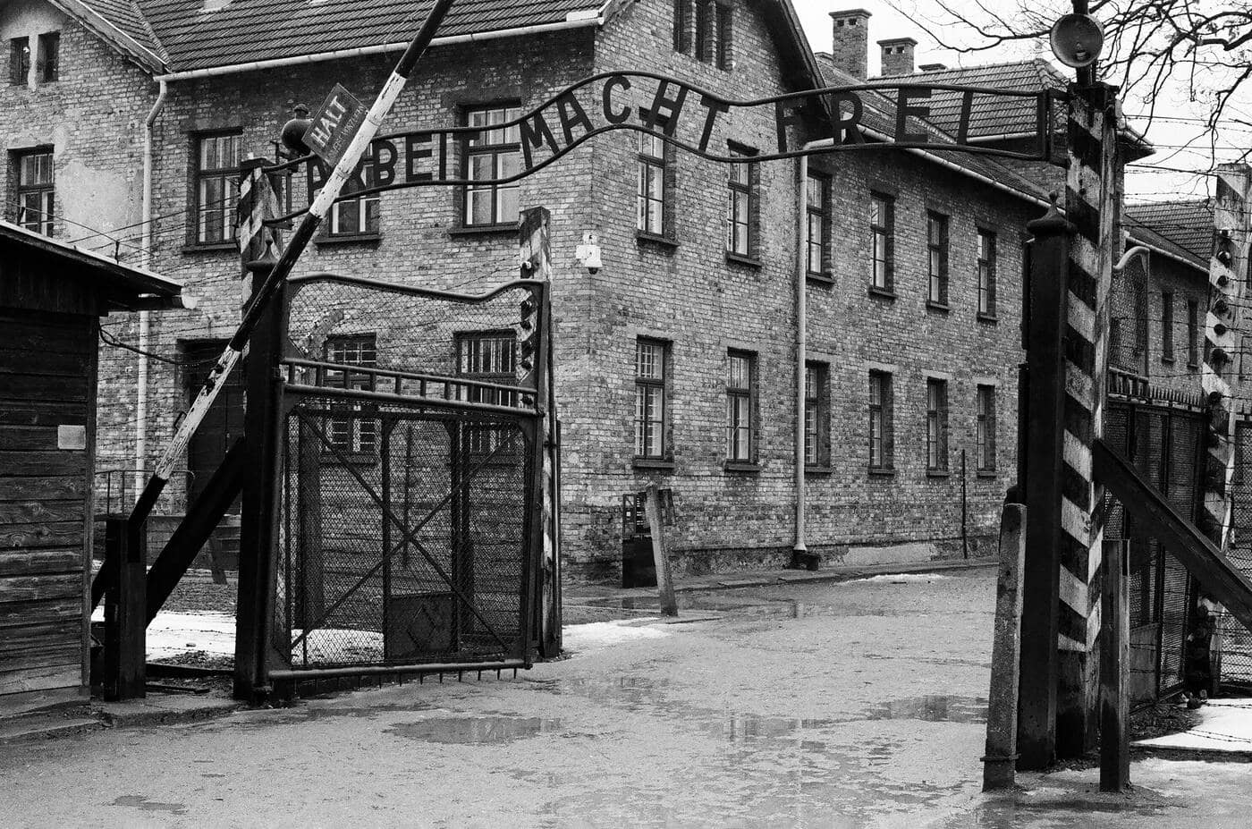 You are currently viewing The History of Auschwitz: A Beginner’s Guide