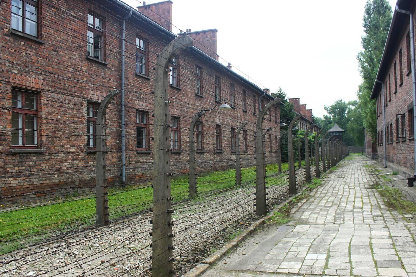 You are currently viewing How to Book Auschwitz Tickets in 2026